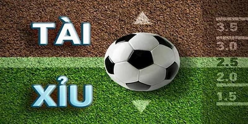 Bí quyết phân tích và đặt cược kèo tài xỉu bóng đá hiệu quả